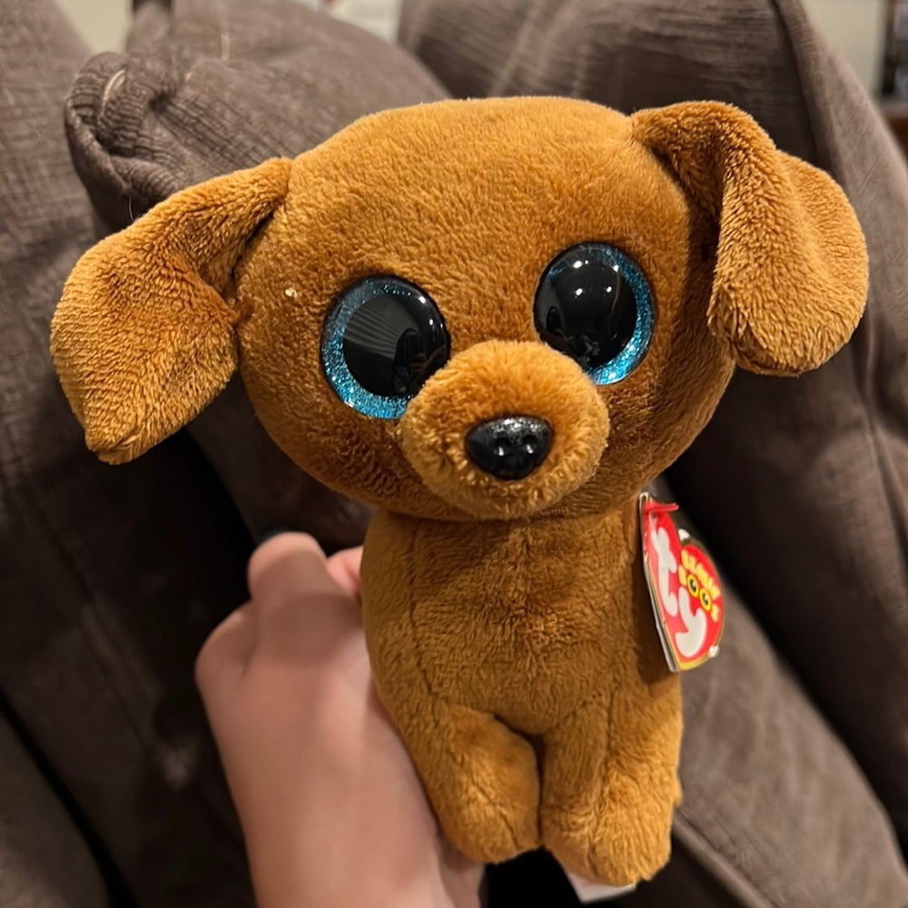 Adorable Beanie Boo named Dougie the Dog